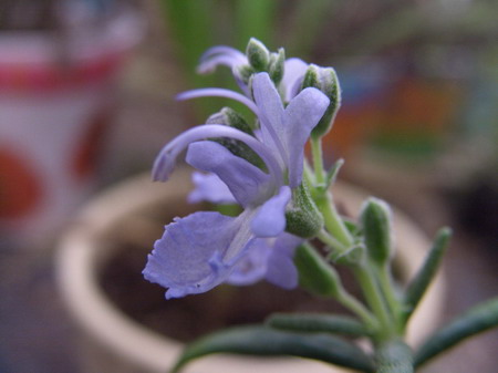 һ֦ˮ����Ե��㿪����