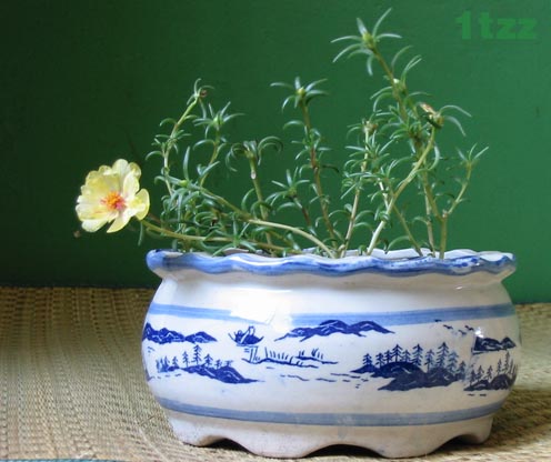 �ҵ�̫����