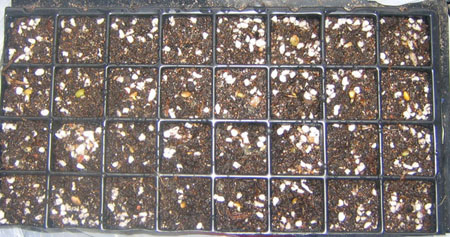 �ﲥҲ���......P13