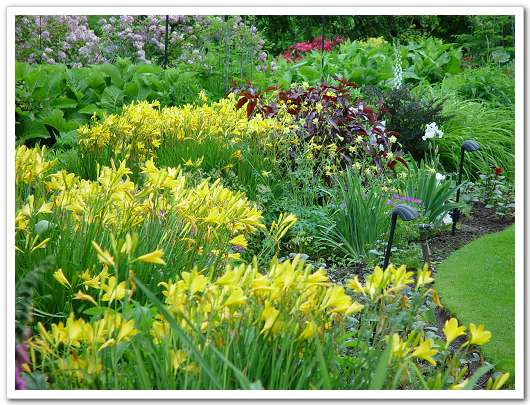 ��԰��������