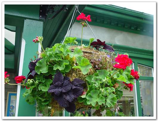 ��԰��������