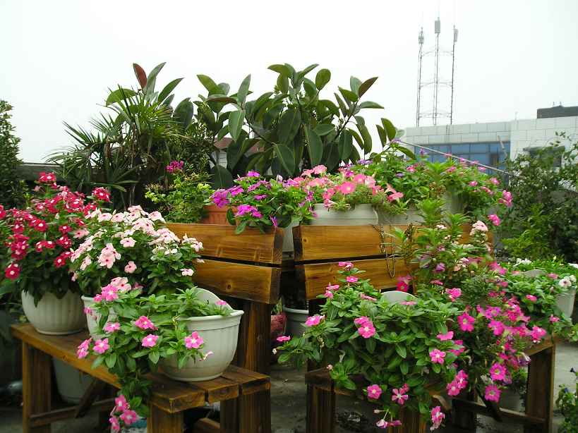 ���մ���ѽ��!����һƬ...........(P4��Ƭ)