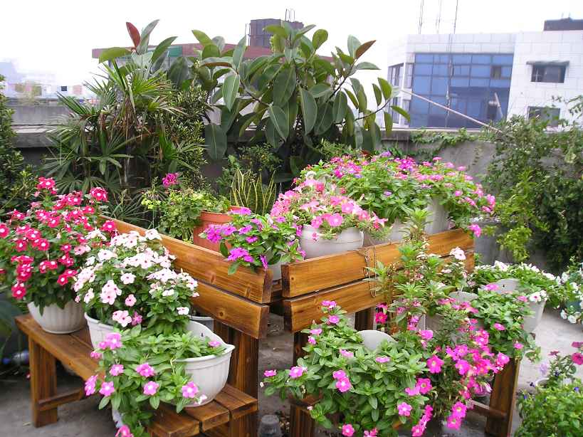 ���մ���ѽ��!����һƬ...........(P4��Ƭ)