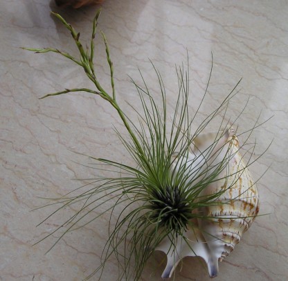 �����ҵ�԰�Ӷ���Щʲô��