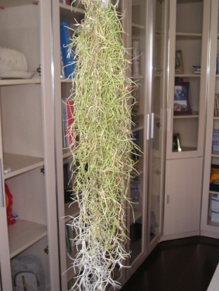 �����ҵ�԰�Ӷ���Щʲô��