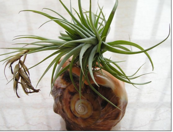 �����ҵ�԰�Ӷ���Щʲô��