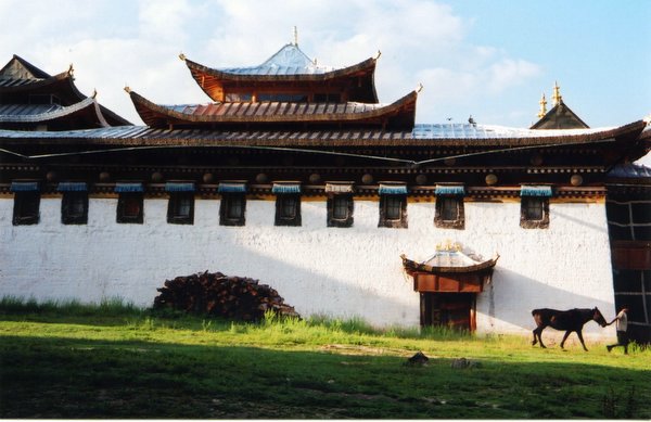 ���ӣ��걣�����ϵ���μ����ߣ�szhgfox