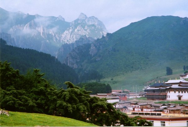 ���ӣ��걣�����ϵ���μ����ߣ�szhgfox