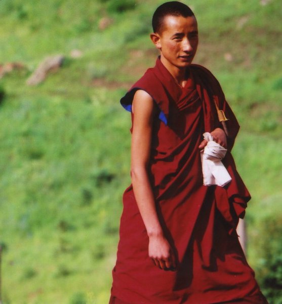 ���ӣ��걣�����ϵ���μ����ߣ�szhgfox(δ�����)