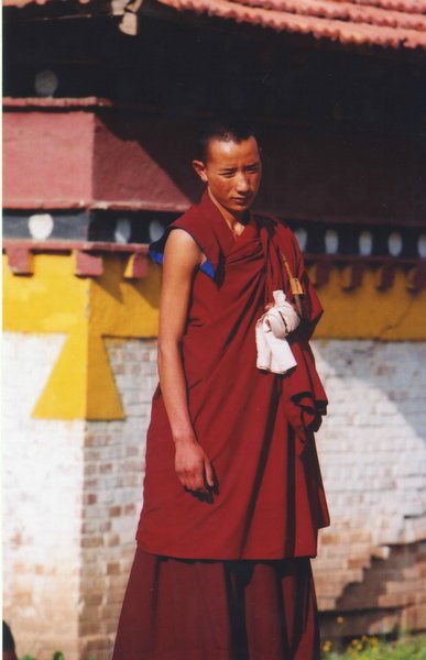 ���ӣ��걣�����ϵ���μ����ߣ�szhgfox(δ�����)