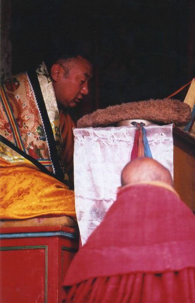 ���ӣ��걣�����ϵ���μ����ߣ�szhgfox(δ�����)