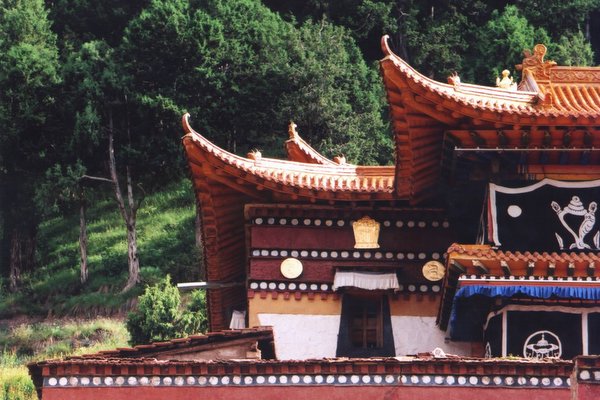 ���ӣ��걣�����ϵ���μ����ߣ�szhgfox(δ�����)