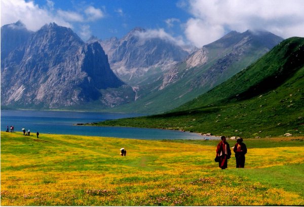 ���ӣ��걣�����ϵ���μ����ߣ�szhgfox(δ�����)