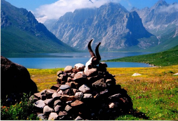 ���ӣ��걣�����ϵ���μ����ߣ�szhgfox(δ�����)