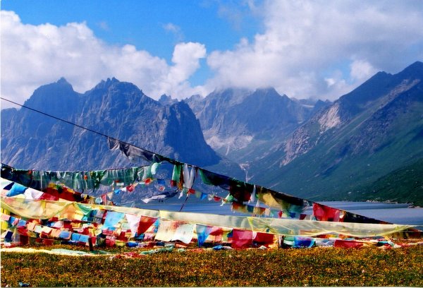 ���ӣ��걣�����ϵ���μ����ߣ�szhgfox(δ�����)