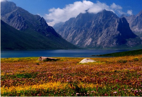 ���ӣ��걣�����ϵ���μ����ߣ�szhgfox(δ�����)