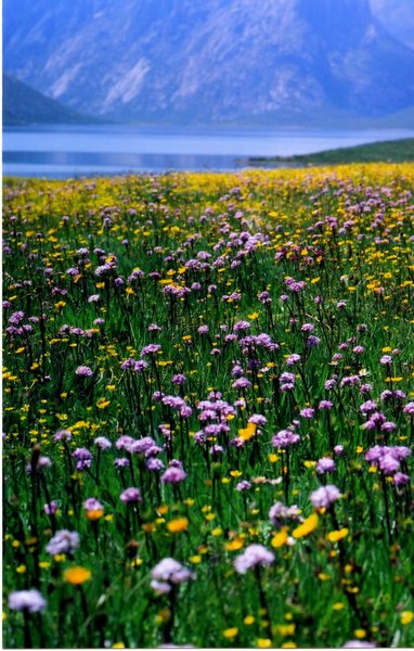 ���ӣ��걣�����ϵ���μ����ߣ�szhgfox(δ�����)