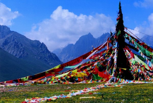 ���ӣ��걣�����ϵ���μ����ߣ�szhgfox(δ�����)