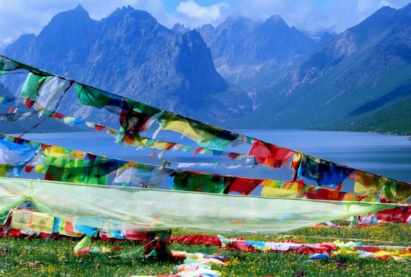 ���ӣ��걣�����ϵ���μ����ߣ�szhgfox(δ�����)