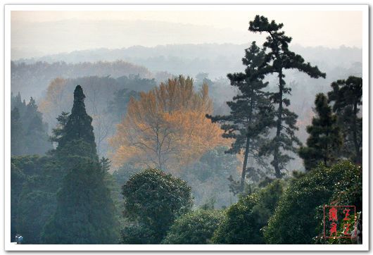 �Ͼ���ɽ��