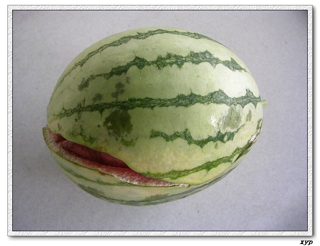 ���ֵ����ϣ��������ˣ�