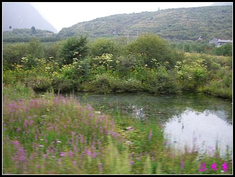 �����ۻ���:��ƺ��