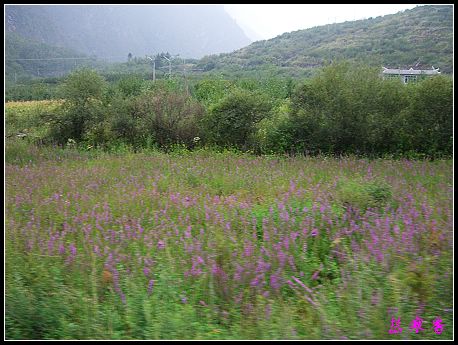 �����ۻ���:��ƺ��