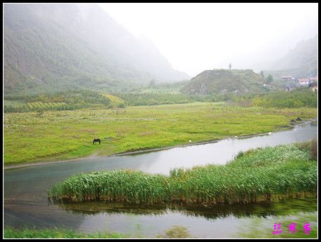 �����ۻ���:��ƺ��