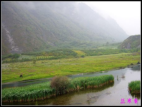 �����ۻ���:��ƺ��