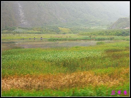 �����ۻ���:��ƺ��