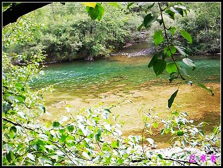 �����ۻ���:��ƺ��