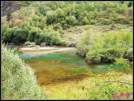 �����ۻ���:��ƺ��