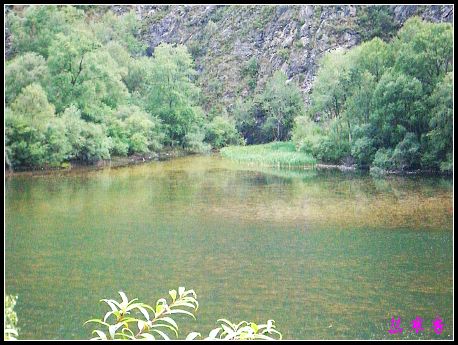 �����ۻ���:��ƺ��