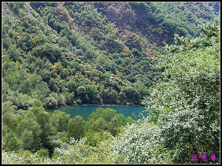 �����ۻ���:��ƺ��