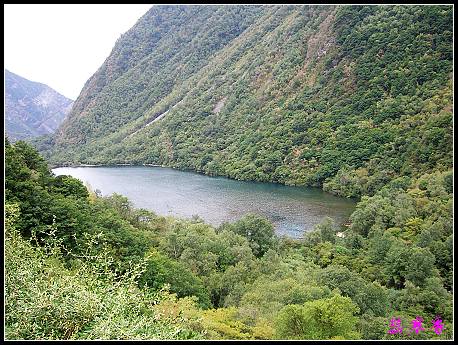 �����ۻ���:��ƺ��