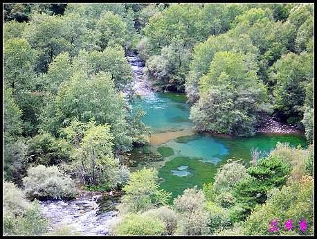 �����ۻ���:��ƺ��