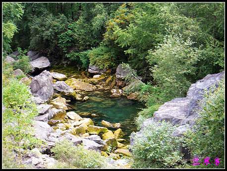 �����ۻ���:��ƺ��