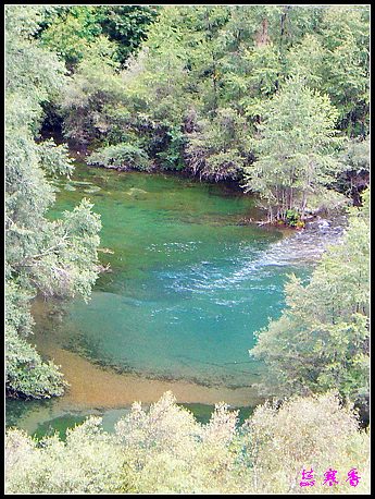 �����ۻ���:��ƺ��