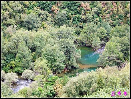 �����ۻ���:��ƺ��