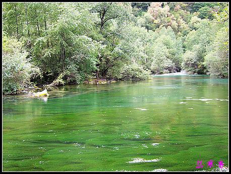 �����ۻ���:��ƺ��