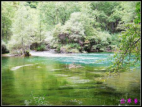 �����ۻ���:��ƺ��