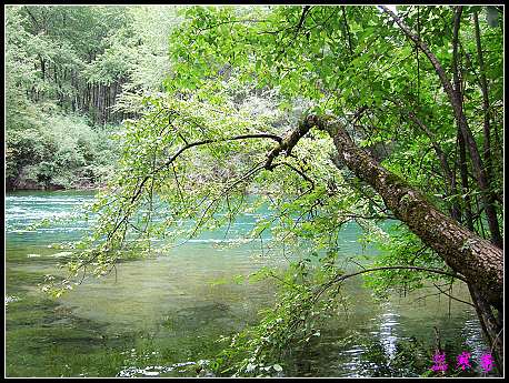 �����ۻ���:��ƺ��