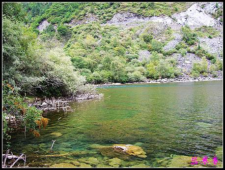 �����ۻ���:��ƺ��