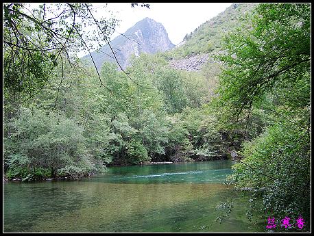 �����ۻ���:��ƺ��