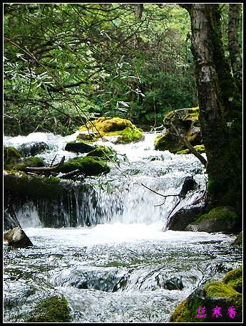 �����ۻ���:��ƺ��