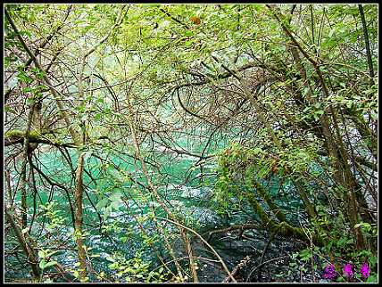 �����ۻ���:��ƺ��