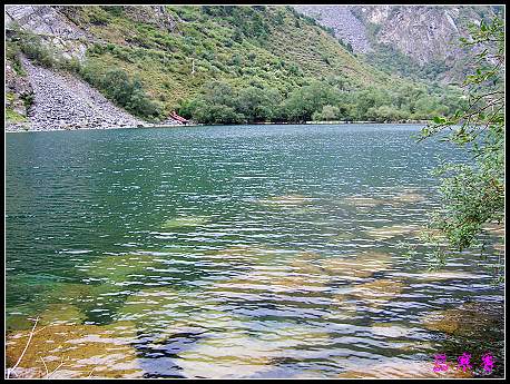 �����ۻ���:��ƺ��