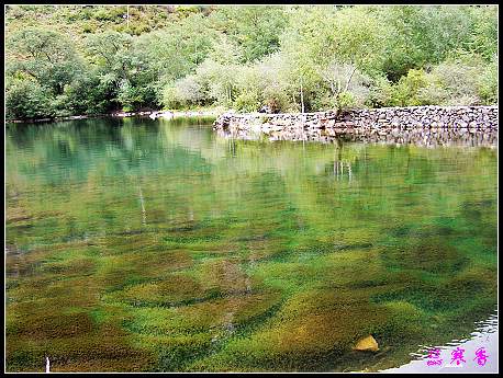 �����ۻ���:��ƺ��