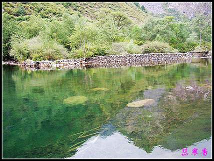 �����ۻ���:��ƺ��