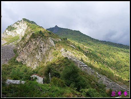 �����ۻ���:��ƺ��